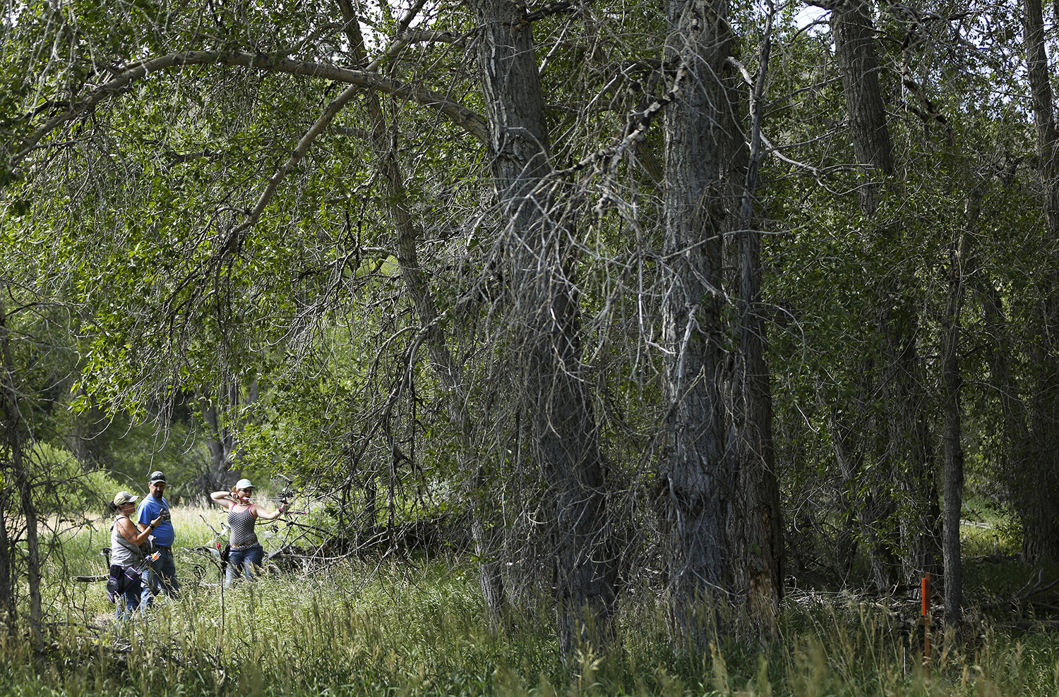 Alize Post pulls back on her bow before releasing at the fourth target on the trail
